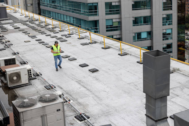 Best Flat Roofing  in Petersburg, IN
