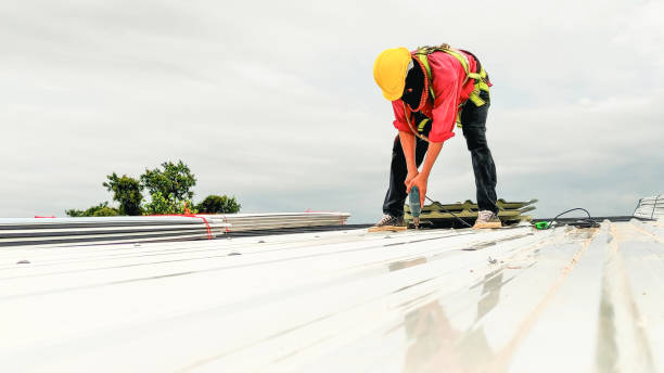 Best Commercial Roofing Services  in Petersburg, IN