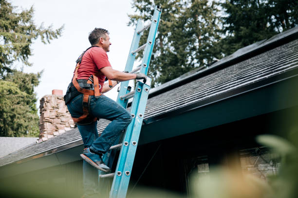 Best Hot Roofs  in Petersburg, IN